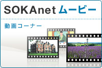 ソウカネットムービー