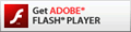 Adobe Flash Player を取得