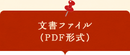 文書ファイル （PDF形式）