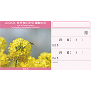 座談会入場券　菜の花