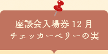 座談会入場券　チェッカーベリーの実