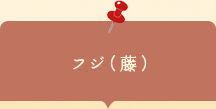 座談会チラシ フジ （藤）