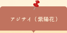 座談会チラシ アジサイ（紫陽花）