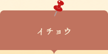 座談会チラシ　イチョウ