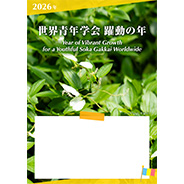 座談会チラシ ハンゲショウ（半夏生）