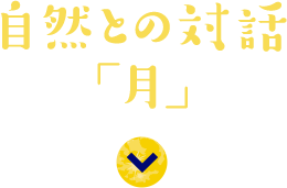 自然との対話「月」