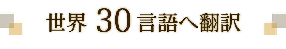 世界29言語へ翻訳